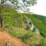 From Cluj: Gorges of Crisul Repede River - The Guides: Knowledge and Friendly Support