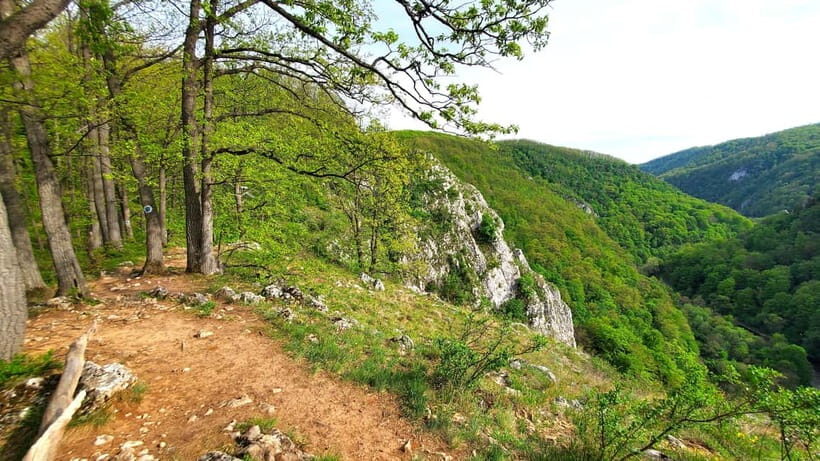 From Cluj: Gorges of Crisul Repede River - The Guides: Knowledge and Friendly Support