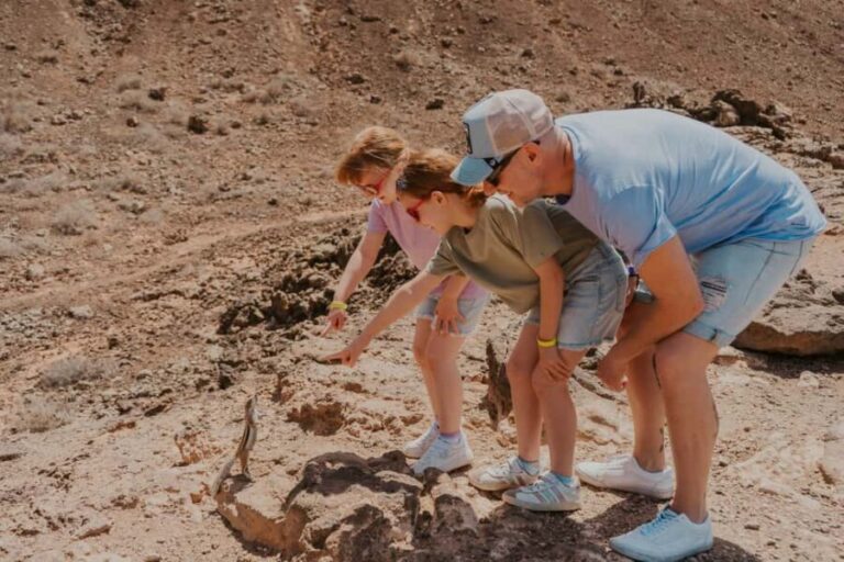 From Corralejo: North authentic experience - small group (max 6 people) - Itinerary Breakdown: What You’ll See and Do