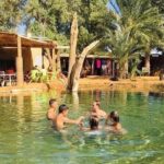 From Djerba: Explore the desert in a day - Why Choose This Tour?