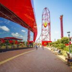 From Dubai: Abu Dhabi City Sightseeing And Sheikh Zayed Mosque - Practicalities and What to Expect