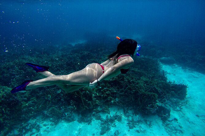 From Dubai: Discovery Scuba Diving & Snorkeling trip in Fujairah - The Authentic Touches and Reviewer Insights