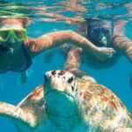 From Dubai: Snorkeling trip in Fujairah - Who Is This Tour Best For?