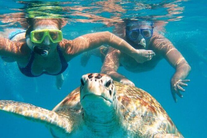 From Dubai: Snorkeling trip in Fujairah - Who Is This Tour Best For?