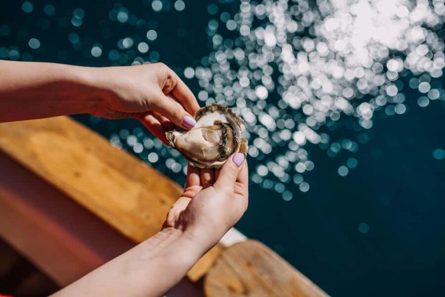 From Dubrovnik: Mali Ston Oyster Farm & Boat Experience - A Detailed Look at the Mali Ston Oyster Farm & Boat Experience