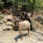 From Durres/Golem: Bovilla lake &Gamti Mountain Private tour - Assessing the Value