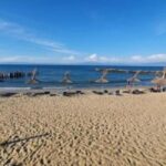 From Durres Golem: Cape of Rodon Castle & Wine Tasting Tour - Authentic Experiences and Tips from Reviews