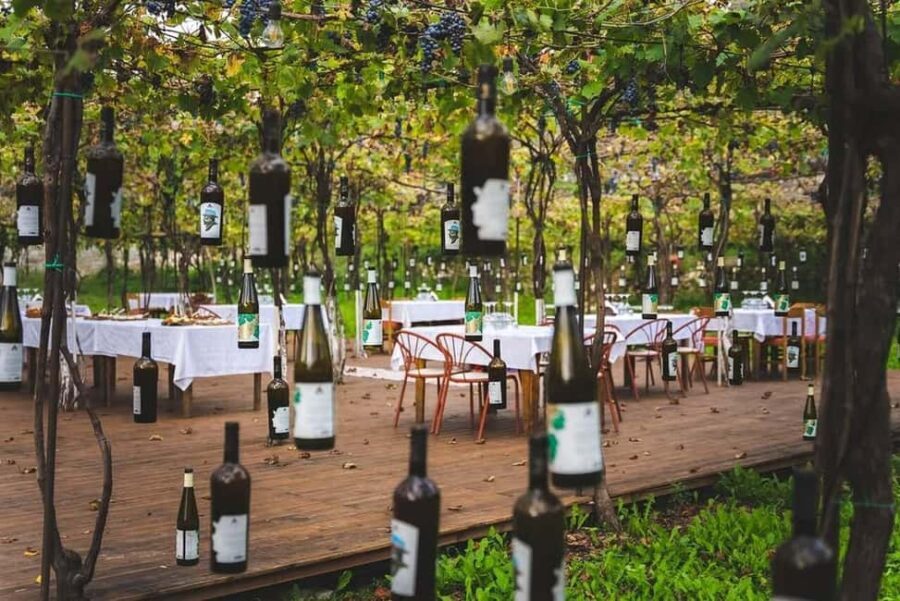 From Durrës: Wine Tasting at Alpeta Winery in Berat - The Winery Experience: Alpeta Winery’s Hidden Charm