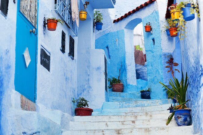 From Fez Day Trip to Chefchaouen - Practical Details and Value