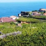 From Funchal: Madeira Wine Tour, Cable Car & Typical Lunch - The Itinerary Breakdown