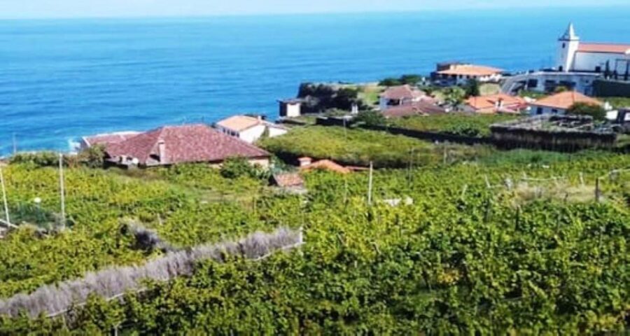 From Funchal: Madeira Wine Tour, Cable Car & Typical Lunch - The Itinerary Breakdown