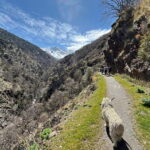 From Granada: High Sierra Nevada hiking experience - The Guide and Group Dynamics