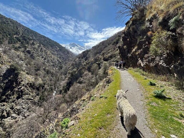 From Granada: High Sierra Nevada hiking experience - The Guide and Group Dynamics