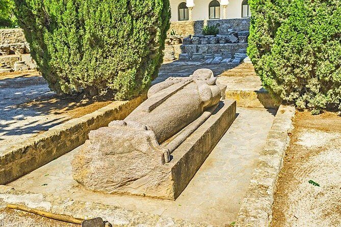 From Hammamet or Tunis: Carthage, Bardo, Sidi Bou said and Medina - Transportation, Timing, and Overall Experience
