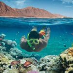 From Hurghada: Paradise Island Full-Day Snorkeling Tour - Authentic Experiences from Reviewers