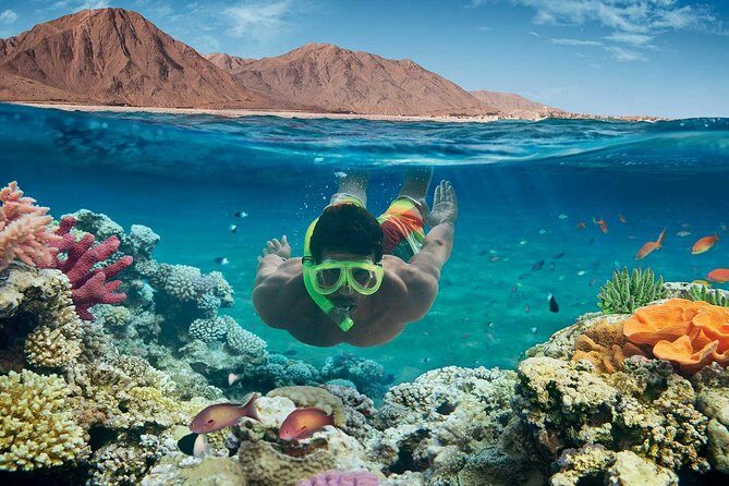 From Hurghada: Paradise Island Full-Day Snorkeling Tour - Authentic Experiences from Reviewers