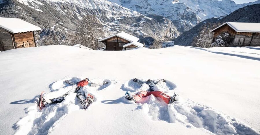 From Interlaken: Guided Snowshoe Tour - A Deep Dive into the Snowshoe Experience