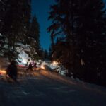 From Interlaken: Night Sledding - Why This Tour Stands Out