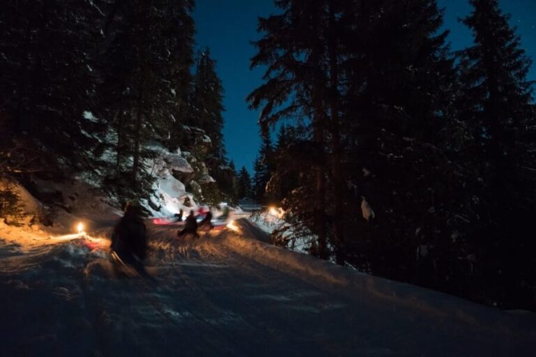 From Interlaken: Night Sledding - Why This Tour Stands Out