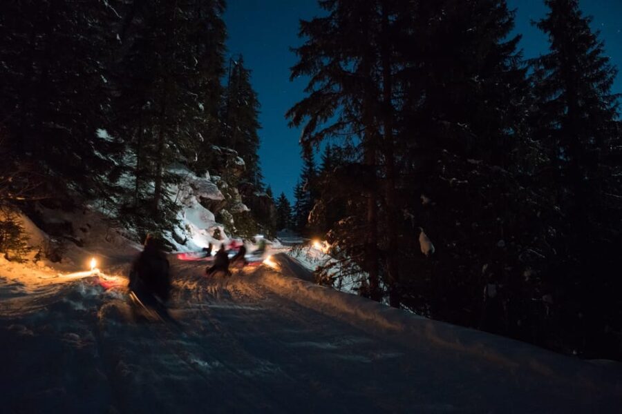 From Interlaken: Night Sledding - Why This Tour Stands Out
