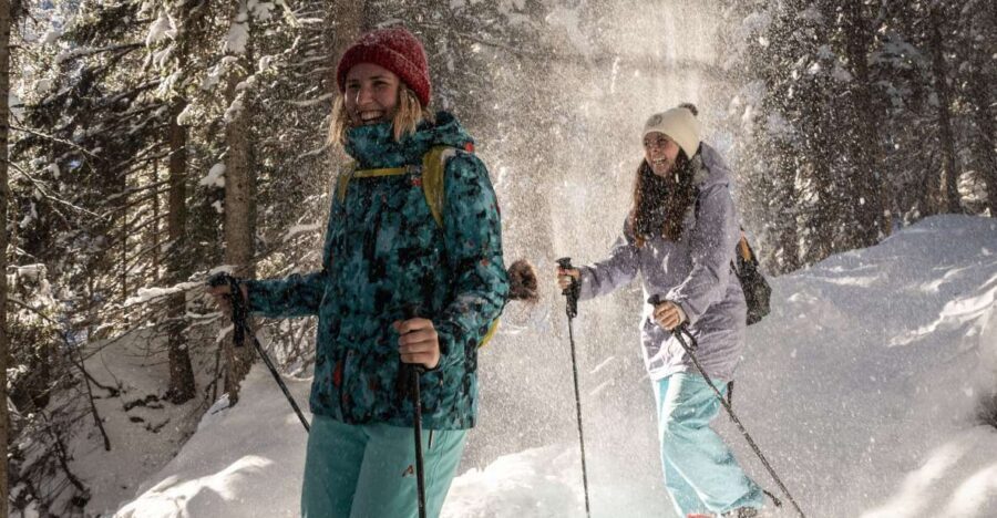 From Interlaken: Wetterhorn Trail Snowshoe Hiking Tour - The Itinerary: What You Can Expect