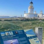 From Inverness: Black Isle Tour with Dolphin Spotting - The Mystical Clootie Well at Munlochy