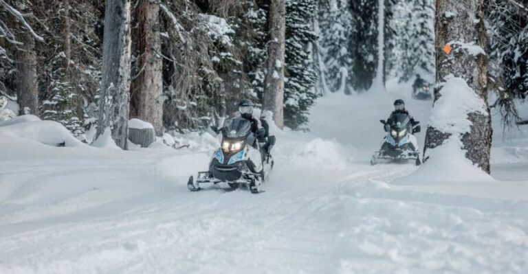 From Jackson: Yellowstone Grand Canyon Snowmobile Tour - Authentic Experiences from Guests
