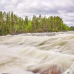 From Jokkmokk: The Great Rapids National Park - Why This Tour Offers Good Value