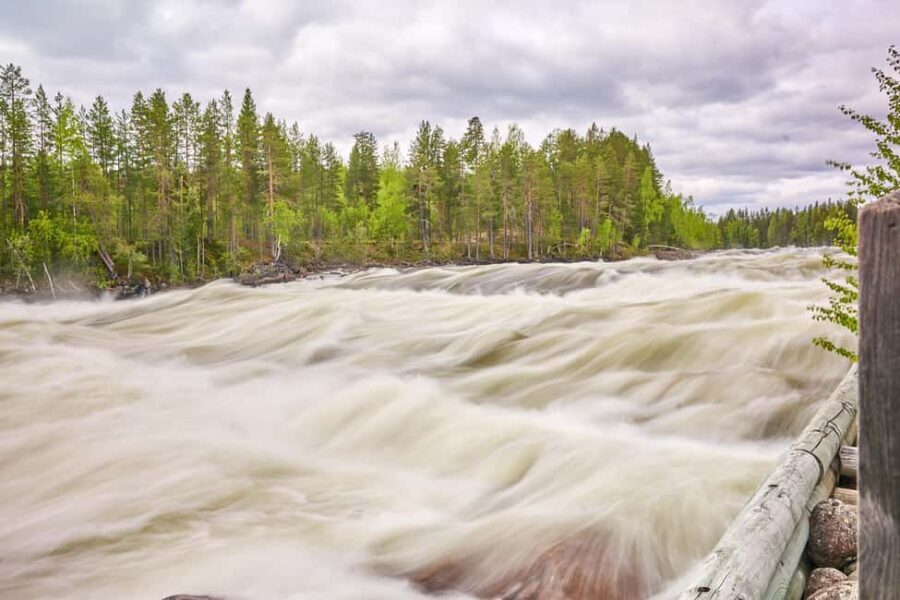 From Jokkmokk: The Great Rapids National Park - Why This Tour Offers Good Value