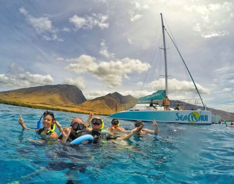 From Kaanapali: Afternoon West Maui Snorkeling w/ Drinks - The Itinerary in Detail