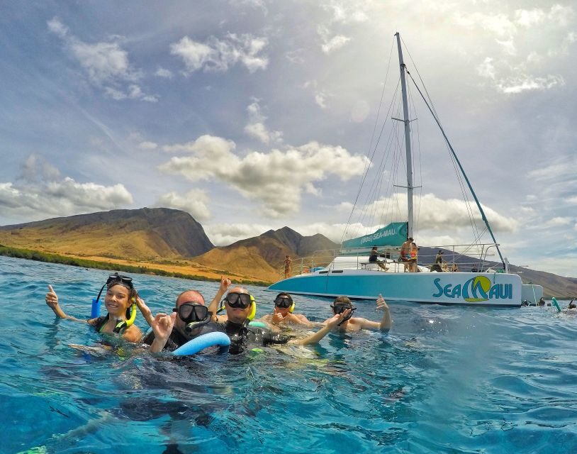 From Kaanapali: Afternoon West Maui Snorkeling w/ Drinks - The Itinerary in Detail