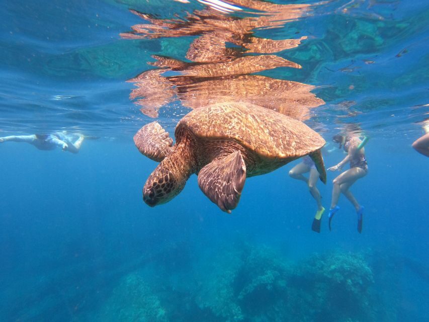 From Ka'anapali: West Maui Half-Day Snorkel Tour w/ Food - The Itinerary Breakdown in Detail