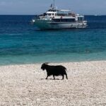 From Kefalonia: Ihaca boat tour with swimming - The Real Value of the Tour