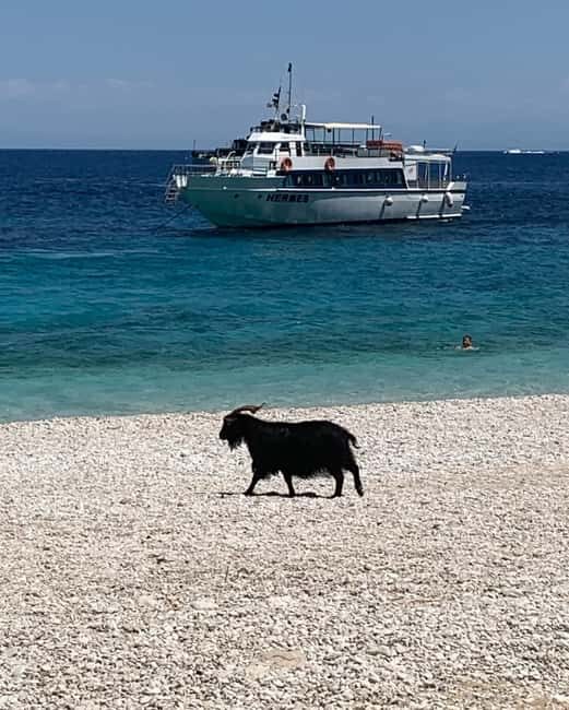 From Kefalonia: Ihaca boat tour with swimming - The Real Value of the Tour