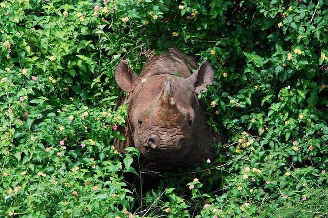 From Kigali: 12 Hour Custom Day trip for game Drive in Akagera NP - Frequently Asked Questions