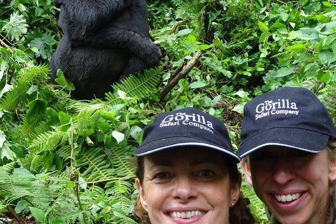From Kigali: 3 Days Gorillas and golden monkeys trek Adventure - Day 2: The Heart of the Adventure – Gorilla Trekking