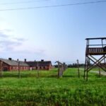 From Krakow: Last Minute Auschwitz-Birkenau Guided Tour - The Historical Significance