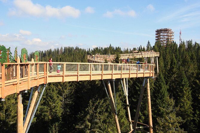 From Kraków: Slovakia Treetop Walk Bachledka and Zakopane - Logistics and Practical Details