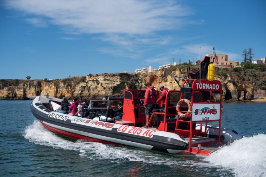 From Lagos: Benagil Sea Caves Tour with a Local Guide - Who Is This Tour Best For?