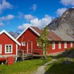 From Leknes port: Special Summer Guided Tour of Lofoten - Practical Details That Matter