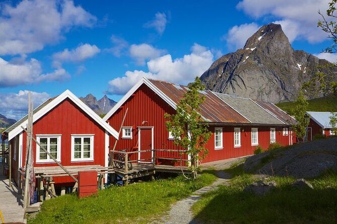 From Leknes port: Special Summer Guided Tour of Lofoten - Practical Details That Matter