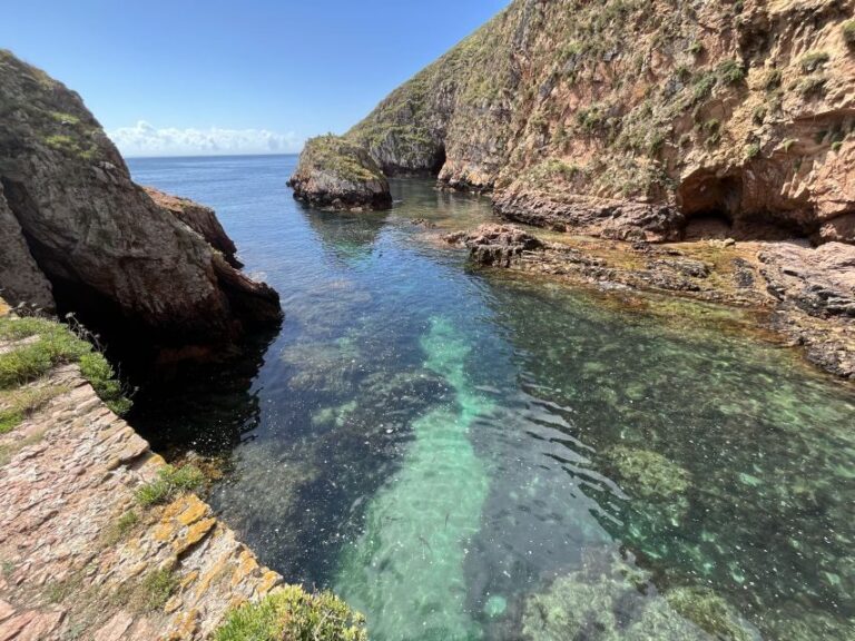 From Lisbon: Berlenga Islands by Boat, Peniche & Óbidos - Who Will Love This Tour?