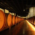 From Lisbon: Serra da Arrábida, Sesimbra, and Setúbal Wines - Detailed Breakdown of the Itinerary