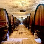 From Lisbon: Setúbal & Arrábida Wine Tour with Lunch - Analyzing the Value: Is It Worth It?