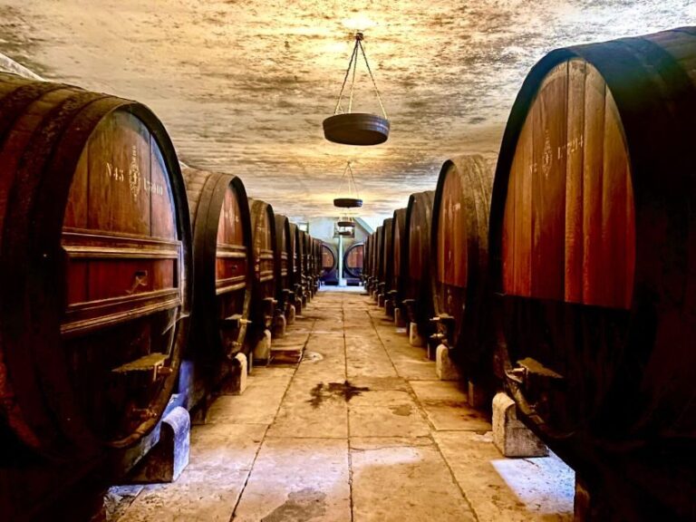 From Lisbon: Setúbal & Arrábida Wine Tour with Lunch - Analyzing the Value: Is It Worth It?