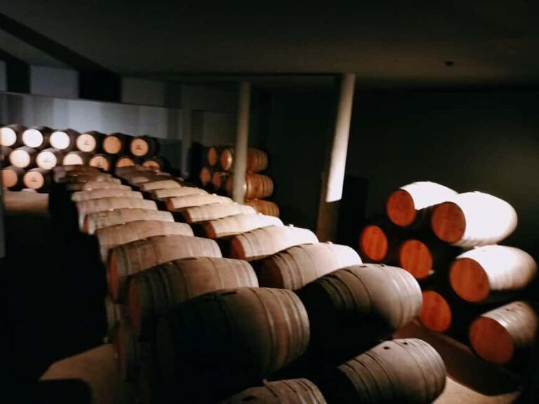 From Lisbon to Douro Valley with Stops up to 4 Cities - Exploring the Stops