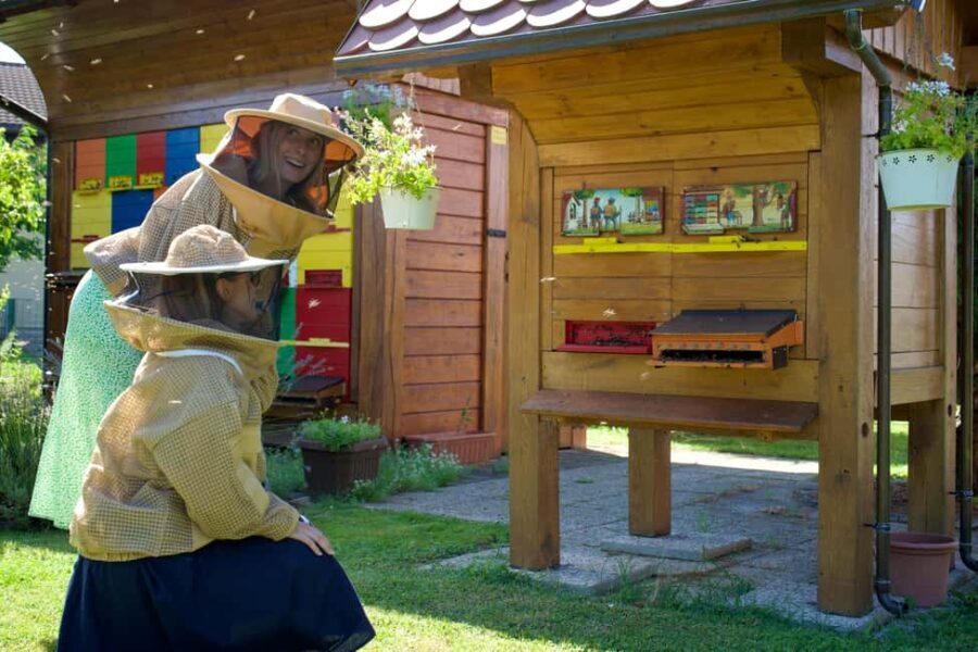 From Ljubljana: All About Bees - Practical Tips and Considerations