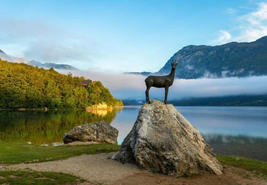From Ljubljana: Bled & Bohinj Day Trip + Local Picnic Treat - What Travelers Love & What to Consider