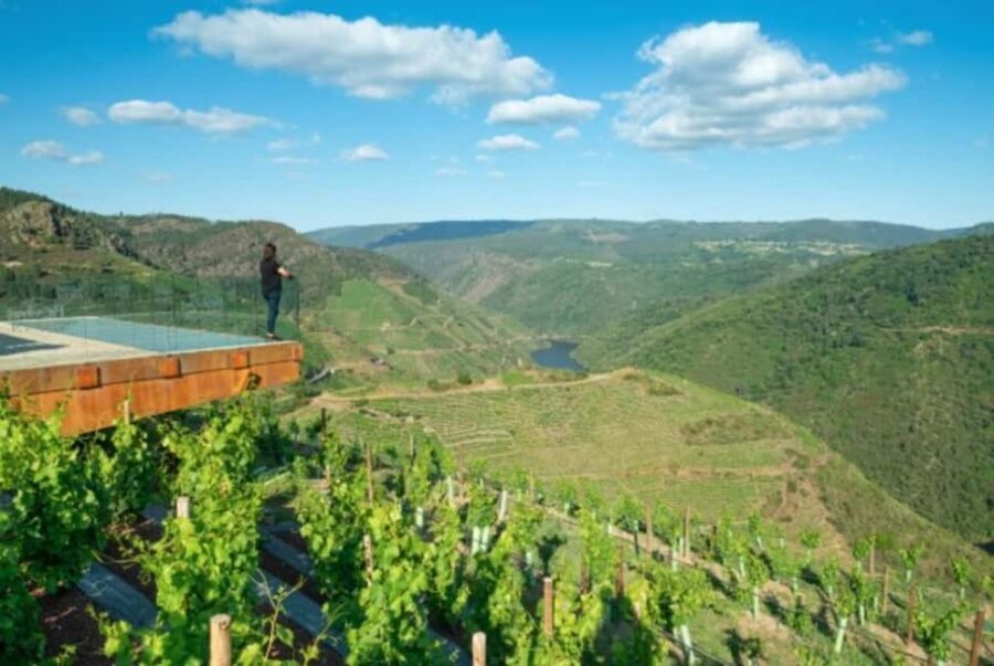 From Lugo: Half day excursion to Ribeira sacra - A Closer Look at the Itinerary and Experience