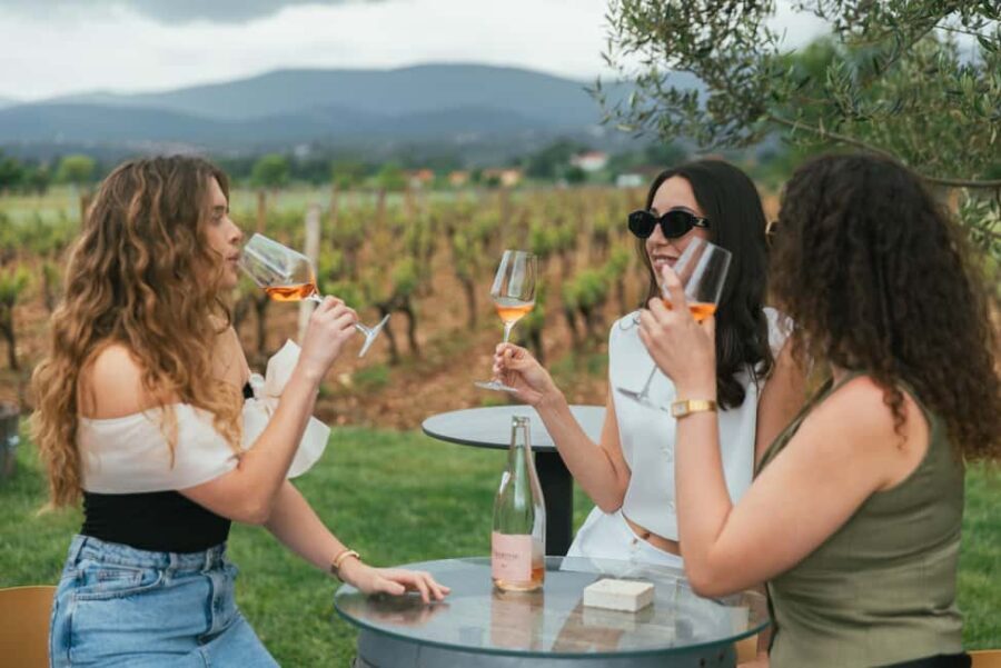 From Makarska Riviera : Wine Tasting Grabovac Tour - Exploring the Itinerary: What You’ll Experience
